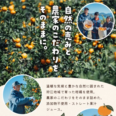 <農家めぐり 狩江柑橘ジュース 6選(温州みかん)> 温州みかん 南柑20号 愛媛