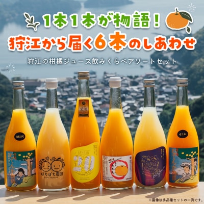 <農家めぐり 狩江柑橘ジュース 6選(多品種)> 多品種 アソート 愛媛県産