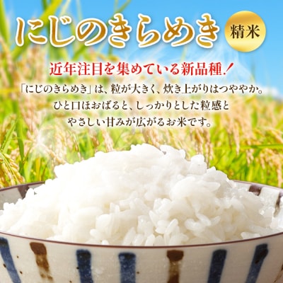先行予約<令和8年産 米 にじのきらめき 精米 約5kg えひめ りの果樹園