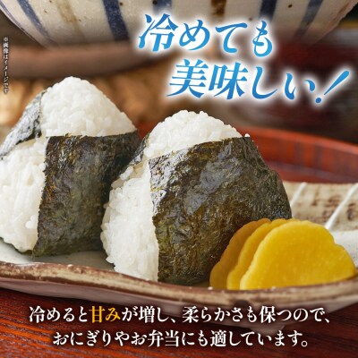 <令和8年産 米 にじのきらめき 精米 約5kg えひめ りの果樹園