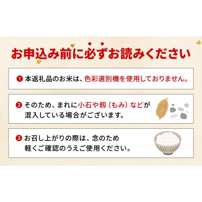 <令和8年産 米 にじのきらめき 精米 約5kg えひめ りの果樹園