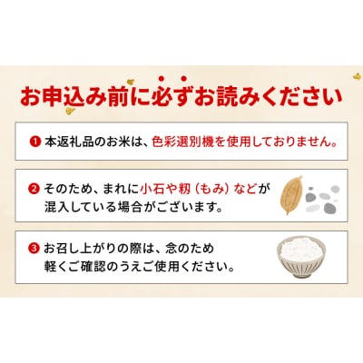 先行予約<令和8年産 米 にじのきらめき 精米 約10kg えひめ りの果樹園