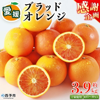 <愛媛県西予市産 ブラッドオレンジ 家庭用 豊作 サンキューパック 合計約3.9kg> 宇都宮物産　
