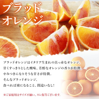 <愛媛県西予市産 ブラッドオレンジ 家庭用 豊作 サンキューパック 合計約3.9kg> 宇都宮物産　