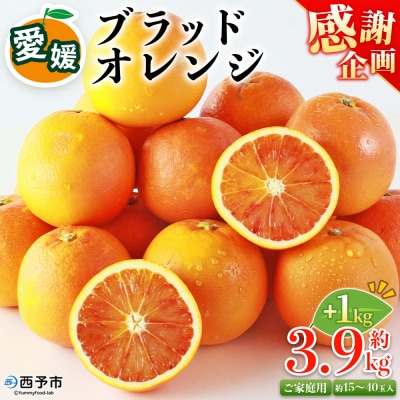 <愛媛県西予市産 ブラッドオレンジ 家庭用 豊作 サンキューパック 合計約4.9kg