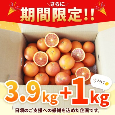 <愛媛県西予市産 ブラッドオレンジ 家庭用 豊作 サンキューパック 合計約4.9kg