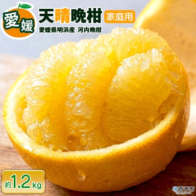 先行受付<天晴晩柑(河内晩柑)家庭用 約1.2kg 笑丸 愛媛県 柑橘