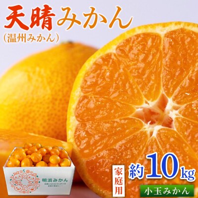 先行予約<天晴みかん(温州みかん)約10kgS～L混合> 家庭用 訳あり愛媛