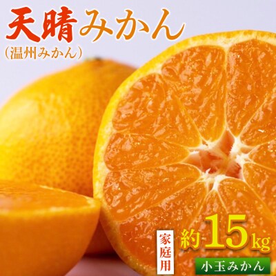 先行予約<天晴みかん 小玉(温州みかん)約15kgS～L混合> 家庭用 訳あり愛媛