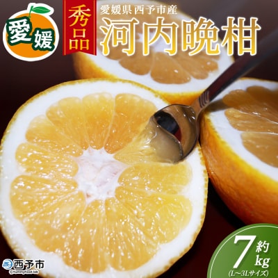 <秀品 河内晩柑 (L～3Lサイズ) 約7kg>かわちばんかん 愛媛 丸二青果