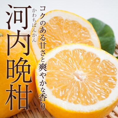 <秀品 河内晩柑 (L～3Lサイズ) 約7kg>かわちばんかん 愛媛 丸二青果