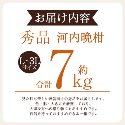 <秀品 河内晩柑 (L～3Lサイズ) 約7kg>かわちばんかん 愛媛 丸二青果