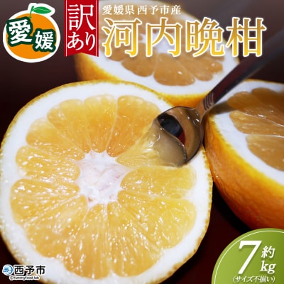 <訳アリ河内晩柑 (サイズ混合) 約7kg>かわちばんかん 愛媛 丸二青果