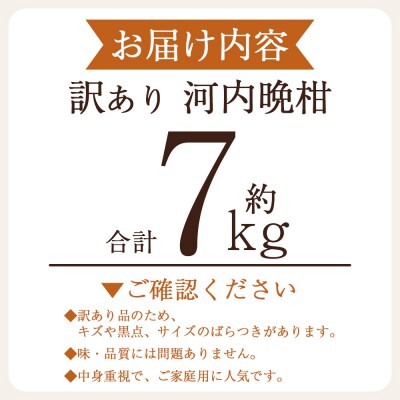 <訳アリ河内晩柑 (サイズ混合) 約7kg>かわちばんかん 愛媛 丸二青果