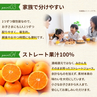 <100%ストレートジュース パウチタイプ160ml 温州みかん 160ml×1個>