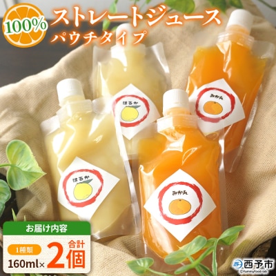 <100%ストレートジュース パウチタイプ160ml×2個>愛媛 渡江おまかせ