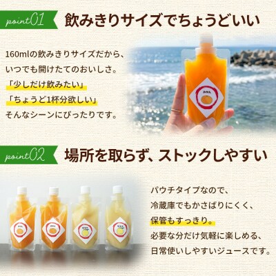 <100%ストレートジュース パウチタイプ160ml 飲み比べ(各2個) 計4個>愛媛 渡江