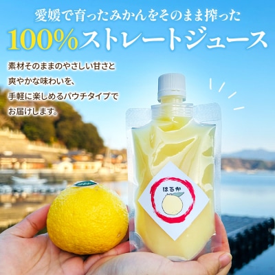 <100%ストレートジュース パウチタイプ温州みかん&はるか 160ml×各3個計6個>愛媛 渡江