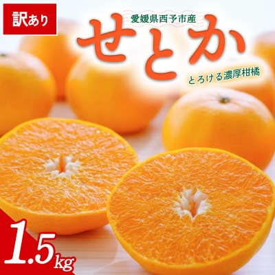 <訳あり 愛媛県産せとか 合計約1.5kg>ご自宅用 愛媛 ミヤモトオレンジガーデン