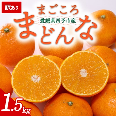 【先行受付】<訳あり 愛媛県産 まごころまどんな 合計約1.5kg> 愛媛　ミヤモトオレンジガーデン