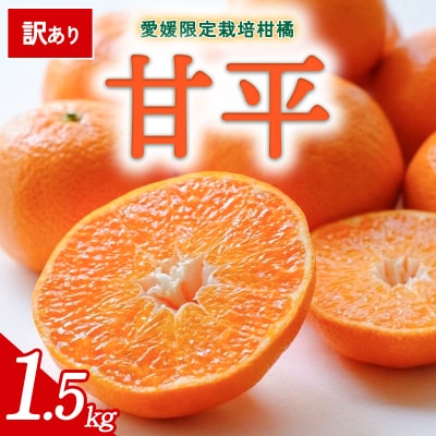 【先行受付】<訳あり 甘平 愛媛限定高級柑橘 合計約1.5kg> 愛媛 ミヤモトオレンジガーデン