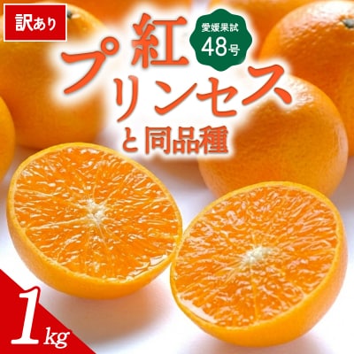 【先行受付】<訳あり 愛媛県産 愛媛果試48号 合計約1kg> 愛媛ミヤモトオレンジガーデン 