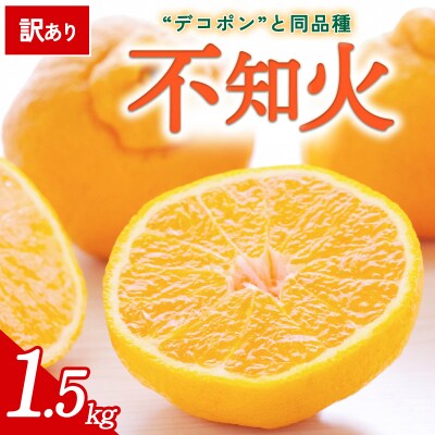 【先行受付】<訳あり 愛媛県産 不知火 合計約1.5kg> 愛媛 ミヤモトオレンジガーデン