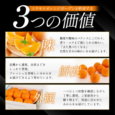 【先行予約】<訳あり 愛媛県産 清見 合計約1.5kg> 愛媛 ミヤモトオレンジガーデン