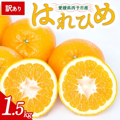 【先行受付】<訳あり 愛媛県産 はれひめ 合計約1.5kg>愛媛 ミヤモトオレンジガーデン