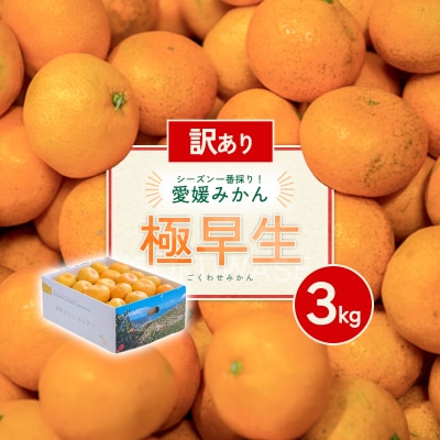 【先行受付】<訳あり 愛媛県産 極早生みかん 合計約3kg>愛媛 ミヤモトオレンジガーデン