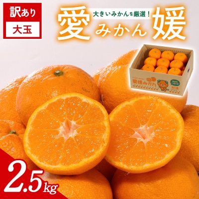 【先行受付】<訳あり 大玉 愛媛みかん 合計約2.5kg>愛媛 ミヤモトオレンジガーデン