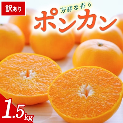 【先行受付】<訳あり 愛媛県産 ポンカン 合計約1.5kg> 愛媛 ミヤモトオレンジガーデン