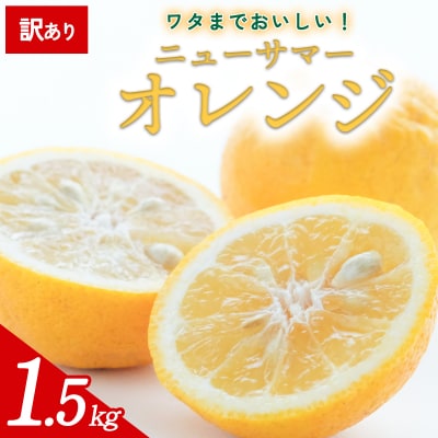 【先行受付】<訳あり 愛媛県産 ニューサマーオレンジ 約1.5kg>愛媛 ミヤモトオレンジガーデン