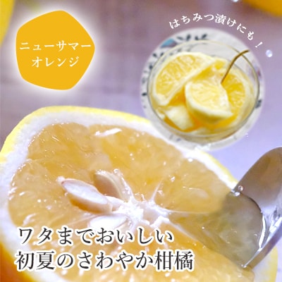 【先行受付】<訳あり 愛媛県産 ニューサマーオレンジ 約1.5kg>愛媛 ミヤモトオレンジガーデン