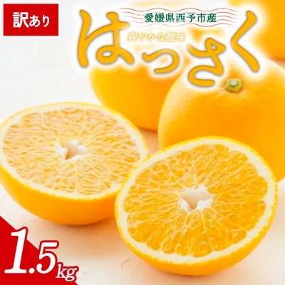 【先行受付】<訳あり 愛媛県産 八朔 合計約1.5kg>愛媛 ミヤモトオレンジガーデン 