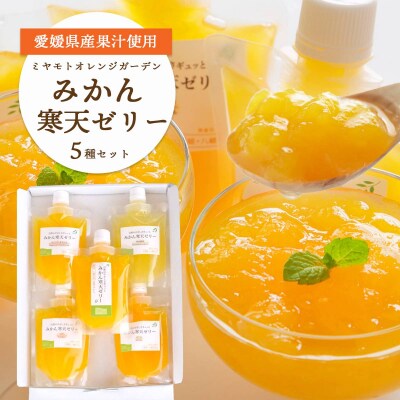 【先行受付】<5種の味わい食べ比べ寒天ゼリー>愛媛 ミヤモトオレンジガーデン