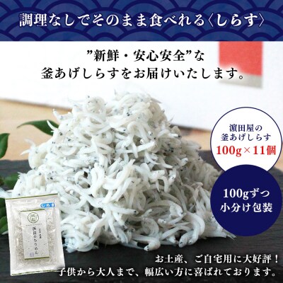 <老舗網元 濵田屋の釜あげしらす 計1.1kg(100g×11袋)> 簡易包装 マルヨシ水産