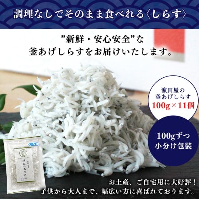 <老舗網元 濵田屋の釜あげしらす 計1.1kg(100g×11袋)> 簡易包装 減塩