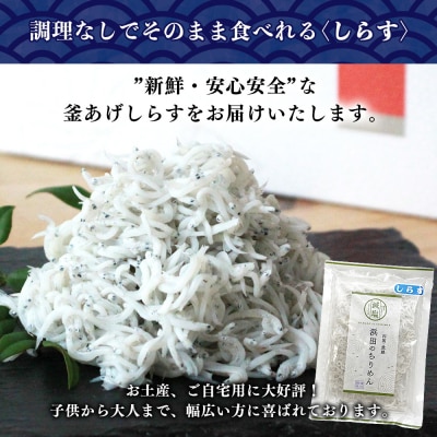<老舗網元 濵田屋の釜あげしらす 計1.1kg(100g×11袋)> 簡易包装 減塩