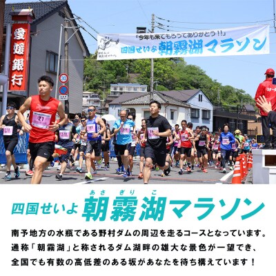 <四国せいよ朝霧湖マラソン 2027 ハーフ>愛媛 大人気 西予 挑戦