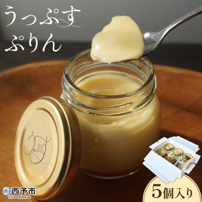 <うっぷすぷりん 5個入り>『1か月以内に順次出荷予定』愛媛 おやつ スイーツ