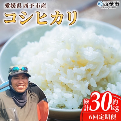 【先行予約】新米<令和8年産 愛媛県西予市産 コシヒカリ 5kg > 通常 6回 定期便 もとき農園