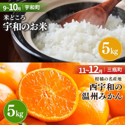 <【定期便】西予市5町ぐるっとうまいもの便(計5回)～定番編～> 定期便 特産品