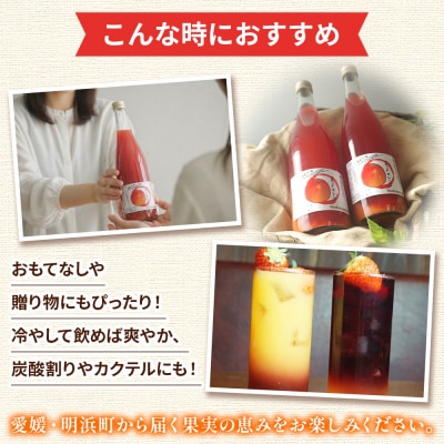 <ブラッドオレンジジュース 720ml×2本セット>渡江から一歩を踏み出す会