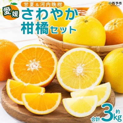 <愛媛県西予市産 さわやか柑橘セット 合計約3kg夕焼け山農園 明浜