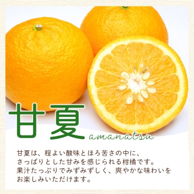 <愛媛県西予市産 さわやか柑橘セット 合計約3kg夕焼け山農園 明浜
