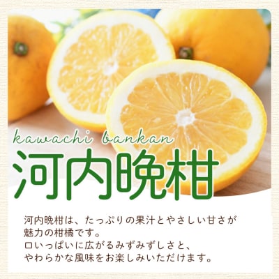 <愛媛県西予市産 さわやか柑橘セット 合計約3kg夕焼け山農園 明浜