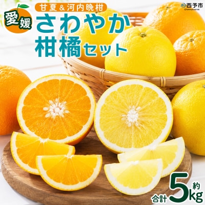 <愛媛県西予市産 さわやか柑橘セット 合計約5kg夕焼け山農園 明浜