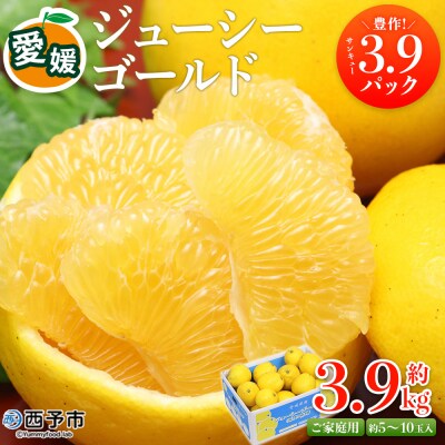 <愛媛県西予市産 ジューシーゴールド 家庭用 豊作 サンキューパック 合計約3.9kg>宇都宮物産