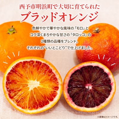 <ブラッドオレンジジュース 720ml 6本セット>渡江　愛媛　えひめ　ジュース